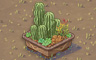 Potted Variety Badge - Solitaire Gardens Potted Variety Badge - Solitaire Gardens