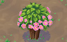 Flowering Bush Badge - Solitaire Gardens Flowering Bush Badge - Solitaire Gardens