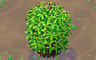 Funky Fern Badge - Solitaire Gardens Funky Fern Badge - Solitaire Gardens
