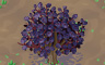 Purple Shrub Badge - Solitaire Gardens Purple Shrub Badge - Solitaire Gardens
