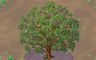 Giant Tree Badge - Solitaire Gardens Giant Tree Badge - Solitaire Gardens