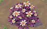 Daisy Patch (purple) Badge - Solitaire Gardens Daisy Patch (purple) Badge - Solitaire Gardens