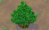Tiny Bush Badge - Solitaire Gardens Tiny Bush Badge - Solitaire Gardens