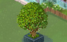 Large Tree Badge - Solitaire Gardens Large Tree Badge - Solitaire Gardens