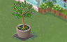 Small Tree Badge - Solitaire Gardens Small Tree Badge - Solitaire Gardens