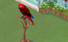 Parrot Badge - Solitaire Gardens Parrot Badge - Solitaire Gardens