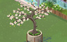 Dogwood Tree Badge - Solitaire Gardens Dogwood Tree Badge - Solitaire Gardens
