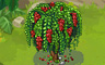 Small Fruited Tree Badge - Solitaire Gardens Small Fruited Tree Badge - Solitaire Gardens
