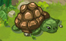 Baby Tortoise Badge - Solitaire Gardens Baby Tortoise Badge - Solitaire Gardens