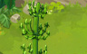 Tall Fingered Plant Badge - Solitaire Gardens Tall Fingered Plant Badge - Solitaire Gardens
