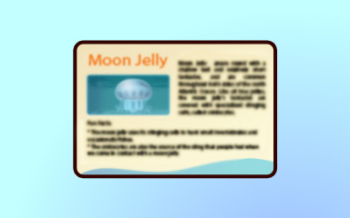 Jellyfish Insider Badge - Quinn's Aquarium Jellyfish Insider Badge - Quinn's Aquarium