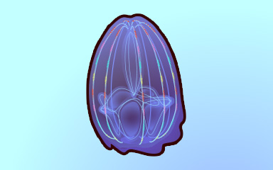 Brush With Fame Badge - Quinn's Aquarium Brush With Fame Badge - Quinn's Aquarium