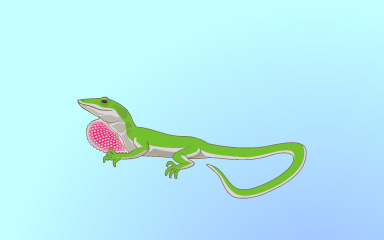 Little Lizard Badge - Quinn's Aquarium Little Lizard Badge - Quinn's Aquarium
