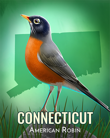American Robin Badge - Quinn's Aquarium American Robin Badge - Quinn's Aquarium