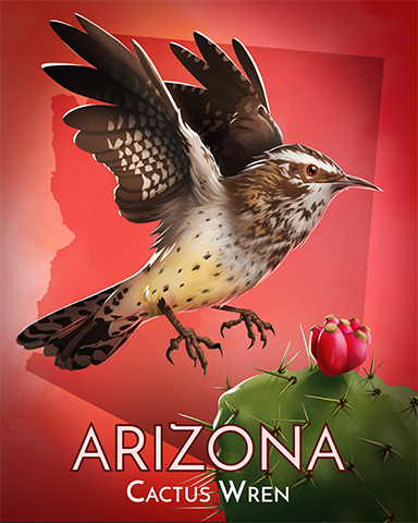 Cactus Wren Badge - Phlinx II Cactus Wren Badge - Phlinx II