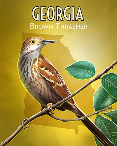 Brown Thrasher Badge - Word Whomp HD Brown Thrasher Badge - Word Whomp HD
