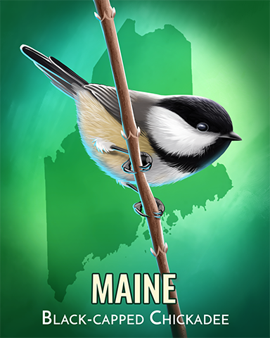 Black-capped Chickadee Badge - A Way With Words Black-capped Chickadee Badge - A Way With Words