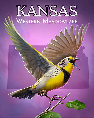 Kansas Western Meadowlark Badge - Jewel Academy Kansas Western Meadowlark Badge - Jewel Academy