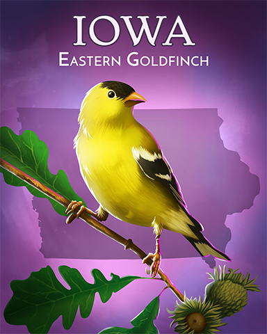 Eastern Goldfinch Badge - Pogo™ Sudoku Eastern Goldfinch Badge - Pogo™ Sudoku