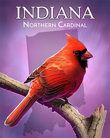 Indiana Northern Cardinal Badge - Word Whomp HD Indiana Northern Cardinal Badge - Word Whomp HD