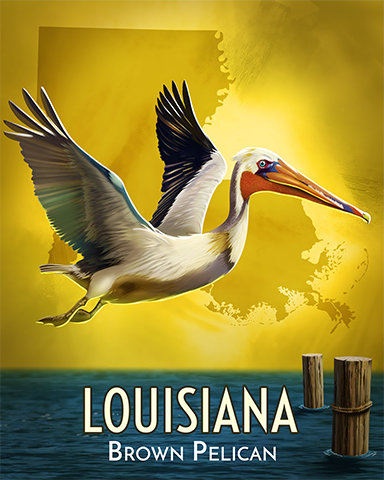 Brown Pelican Badge - Double Deuce Poker HD Brown Pelican Badge - Double Deuce Poker HD