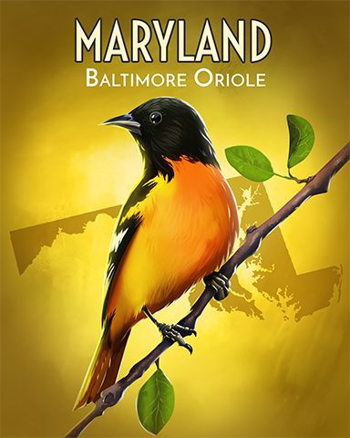 Baltimore Oriole Badge - Claire Hart: Secret In The Shadows Baltimore Oriole Badge - Claire Hart: Secret In The Shadows