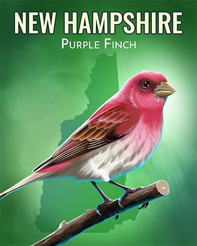 Purple Finch Badge - A Way With Words Purple Finch Badge - A Way With Words