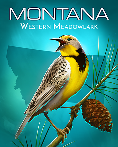 Montana Western Meadowlark Badge - Jet Set Solitaire Montana Western Meadowlark Badge - Jet Set Solitaire