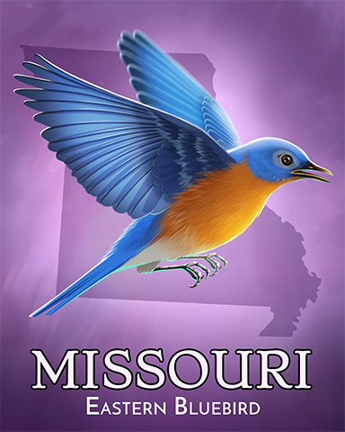 Missouri Eastern Bluebird Badge - Stack'em HD Missouri Eastern Bluebird Badge - Stack'em HD