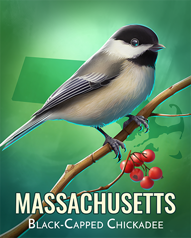 Black-capped Chickadee Badge - Quinn's Aquarium Black-capped Chickadee Badge - Quinn's Aquarium
