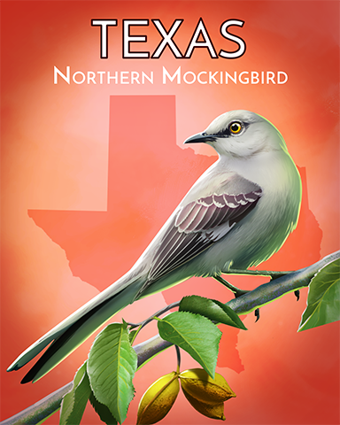 Texas Northern Mockingbird Badge - Poppit! Bingo Texas Northern Mockingbird Badge - Poppit! Bingo