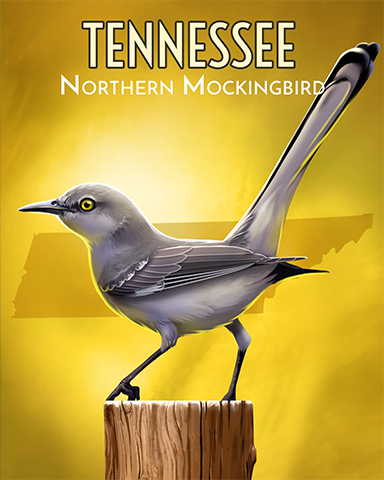 Tennessee Northern Mockingbird Badge - Turbo 21 HD Tennessee Northern Mockingbird Badge - Turbo 21 HD