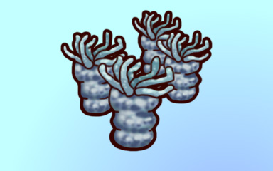Collect Them All Badge - Quinn's Aquarium Collect Them All Badge - Quinn's Aquarium