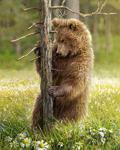 Bear Box Badge - Claire Hart: Secret In The Shadows Bear Box Badge - Claire Hart: Secret In The Shadows