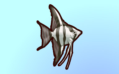 What An Angel Badge - Quinn's Aquarium What An Angel Badge - Quinn's Aquarium