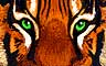 Royal Tiger Badge - Jungle Gin Royal Tiger Badge - Jungle Gin