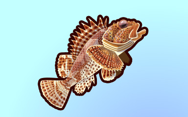 Sharp Swimmer Badge - Quinn's Aquarium Sharp Swimmer Badge - Quinn's Aquarium