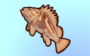 Rock On Badge - Quinn's Aquarium Rock On Badge - Quinn's Aquarium