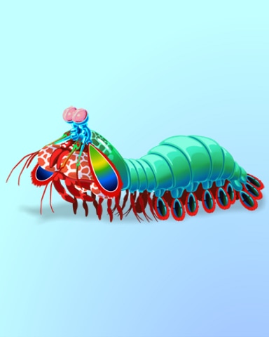 Shrimp In Name Only Badge - Quinn's Aquarium Shrimp In Name Only Badge - Quinn's Aquarium