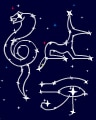 Desert Nights Badge - Phlinx Desert Nights Badge - Phlinx