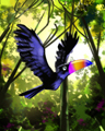 Rainbow Beak Badge - Jungle Gin HD Rainbow Beak Badge - Jungle Gin HD
