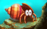 Hermit Crab Badge - Crossword Cove Hermit Crab Badge - Crossword Cove