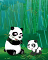 Scaredy Panda Badge - Rainy Day Spider Solitaire HD Scaredy Panda Badge - Rainy Day Spider Solitaire HD