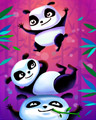Panda Bounce Badge - Panda Pai Gow Poker Panda Bounce Badge - Panda Pai Gow Poker