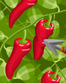 Tiki Soup Badge - Bingo Luau Tiki Soup Badge - Bingo Luau