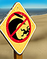 No Wipe Outs Badge - Ride The Tide No Wipe Outs Badge - Ride The Tide