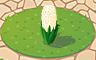 White Hyacinth Badge - Solitaire Gardens White Hyacinth Badge - Solitaire Gardens