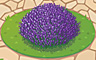 Lavender Badge - Solitaire Gardens Lavender Badge - Solitaire Gardens