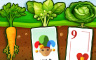 Rank 30 Badge - Solitaire Gardens Rank 30 Badge - Solitaire Gardens