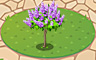 Lilac Plant Badge - Solitaire Gardens Lilac Plant Badge - Solitaire Gardens